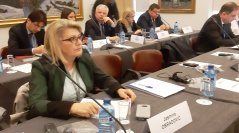 4. mart 2019. Jasmina Obradović na sastanku Odbora za kulturu, nauku, obrazovanje i medije PSSE